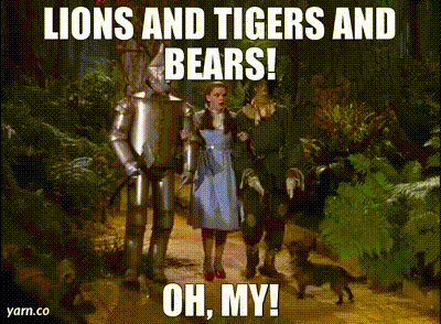 Wizard of Oz Lions and tigers and bears. Oh my!